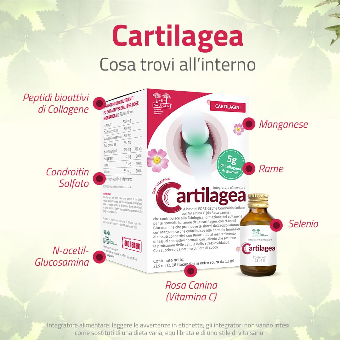 Cartilagea - Image 2