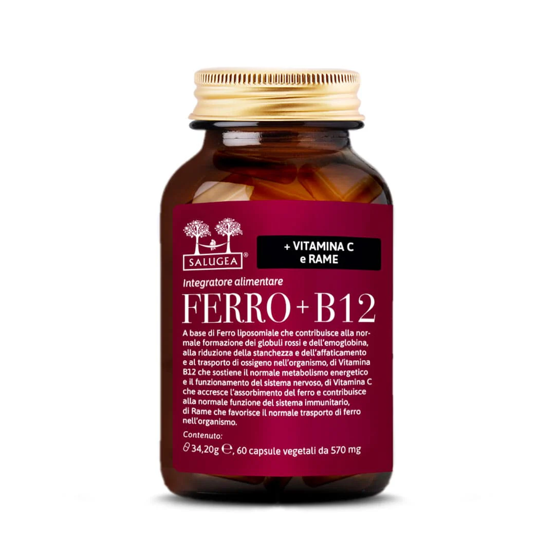 Ferro + B12