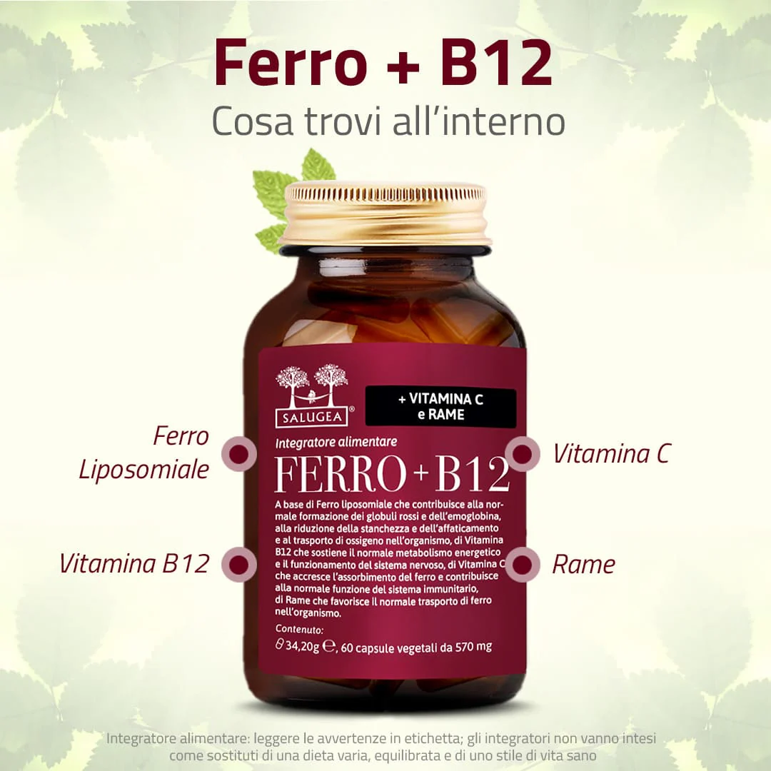 Ferro + B12 - Image 2