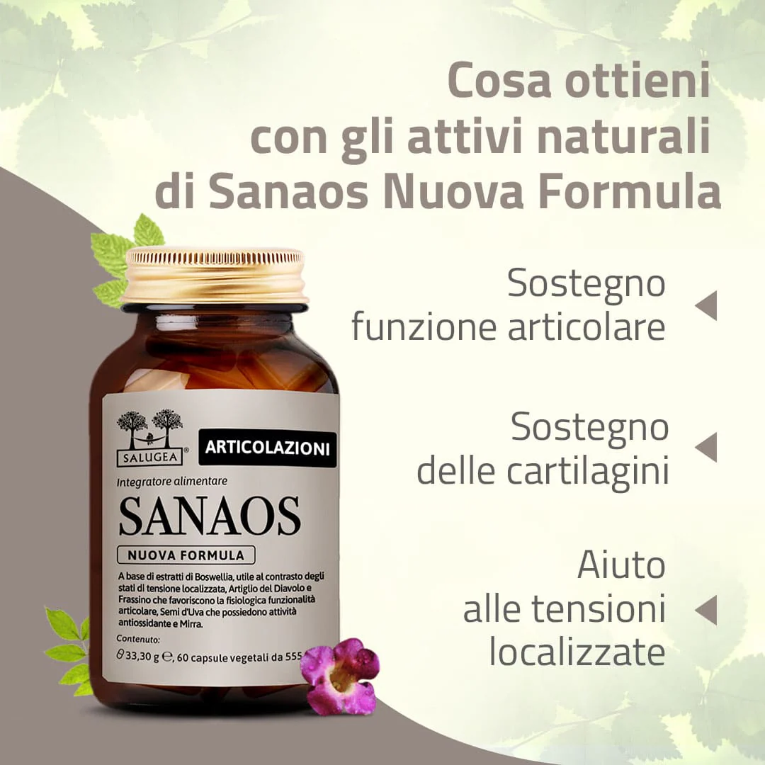 Percorso Menopausa e Ossa - Image 4