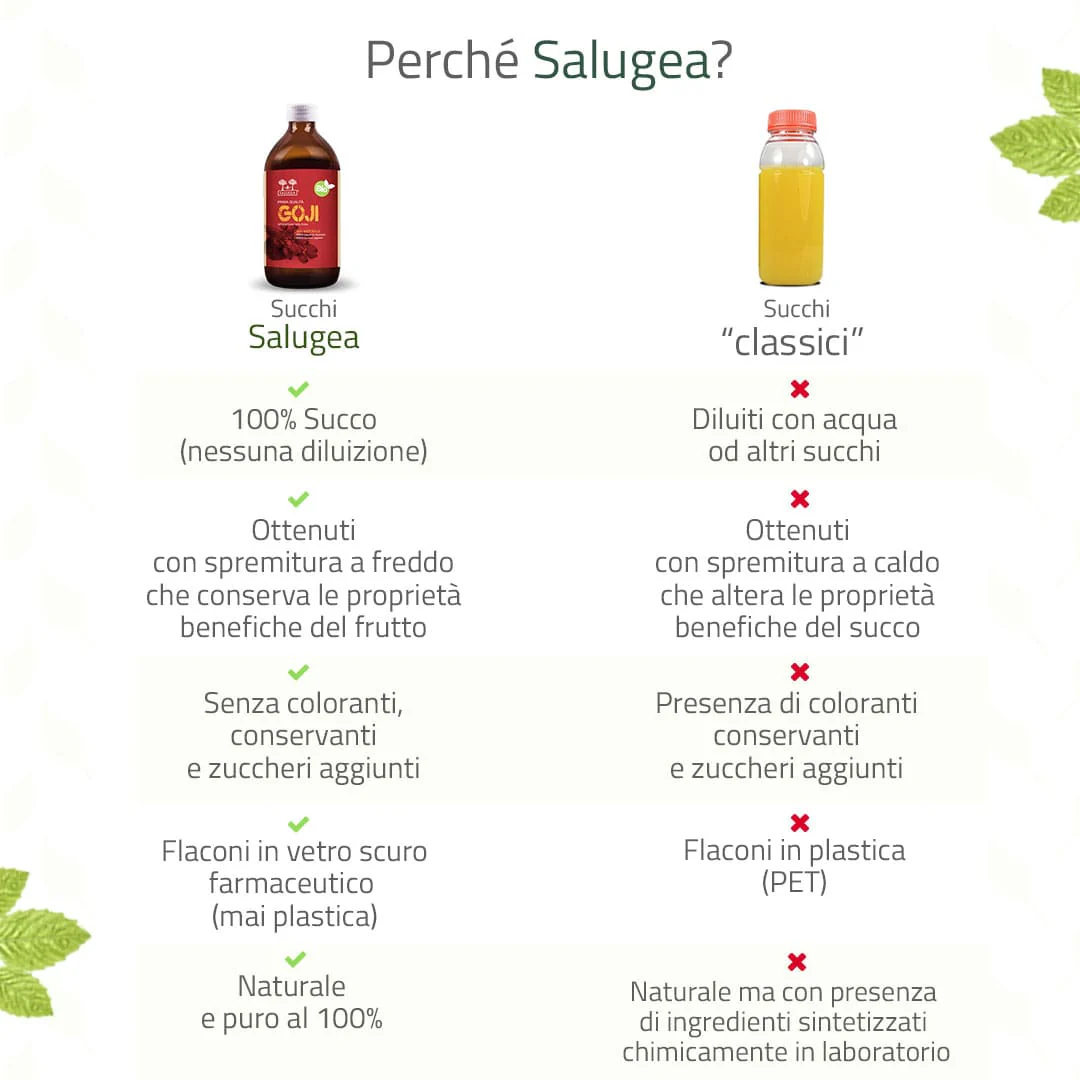Succo di Goji Bio - Image 3